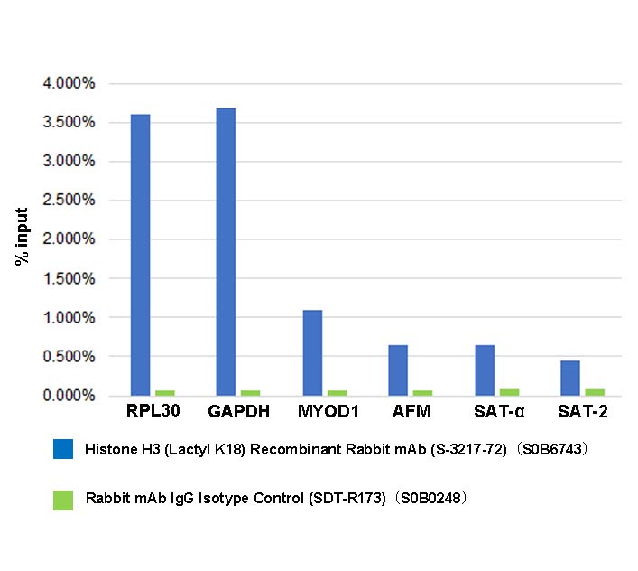 Histone H3 (Lactyl K18) Recombinant Rabbit mAb (S-3217-72)
