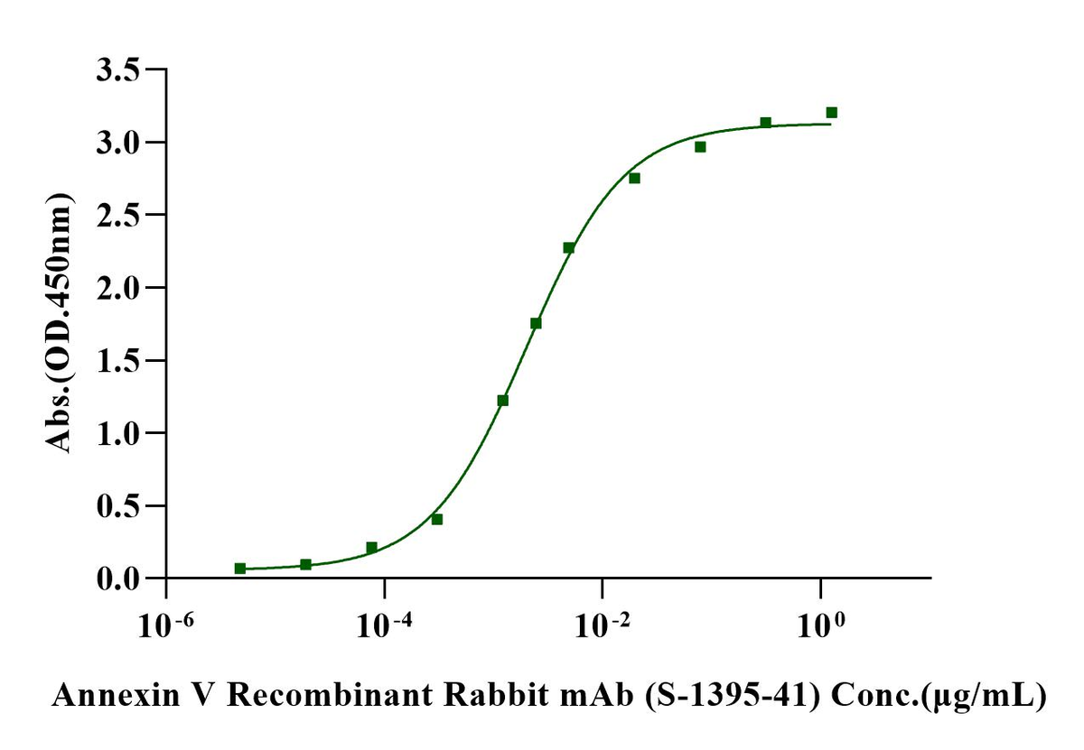 Annexin V His Tag Protein, Human