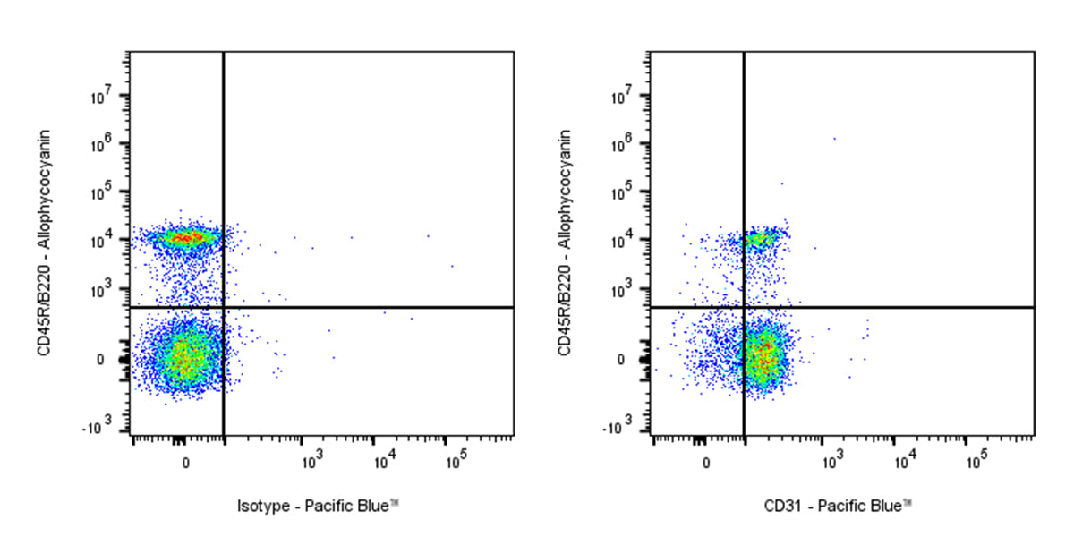 Pacific Blue Rat Anti-Mouse CD31 Antibody (MEC13.3)