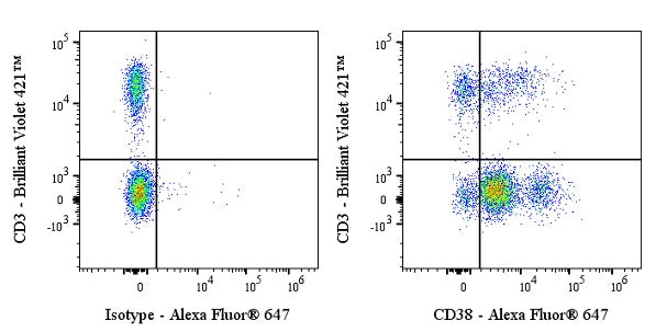 Alexa Fluor® 647 Mouse Anti-Human CD38 Antibody (S-1966-20)