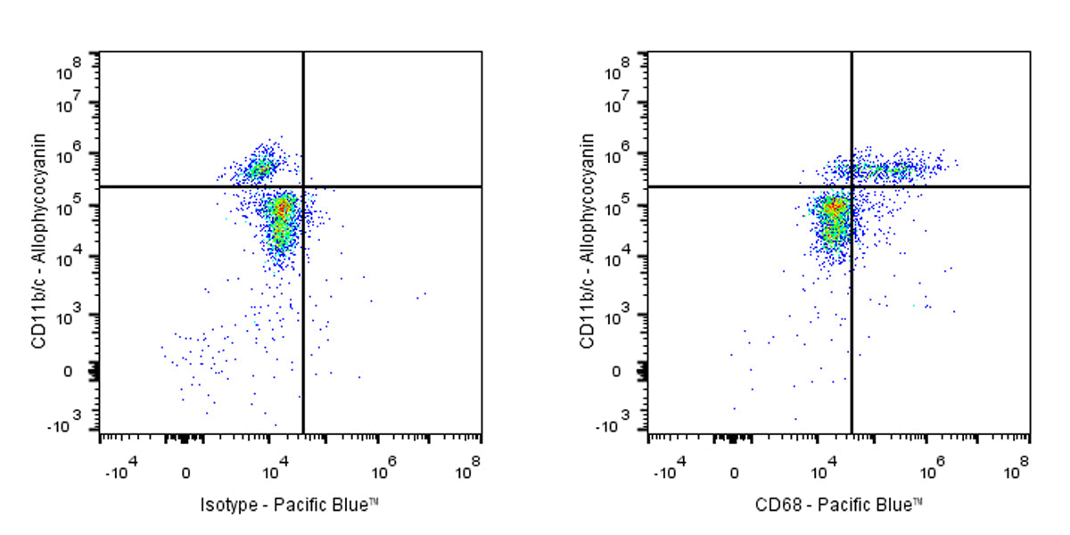 Pacific Blue Mouse Anti-Rat CD68 Antibody (S-R674)
