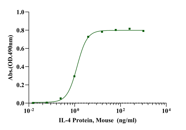 IL-4 Protein, Mouse