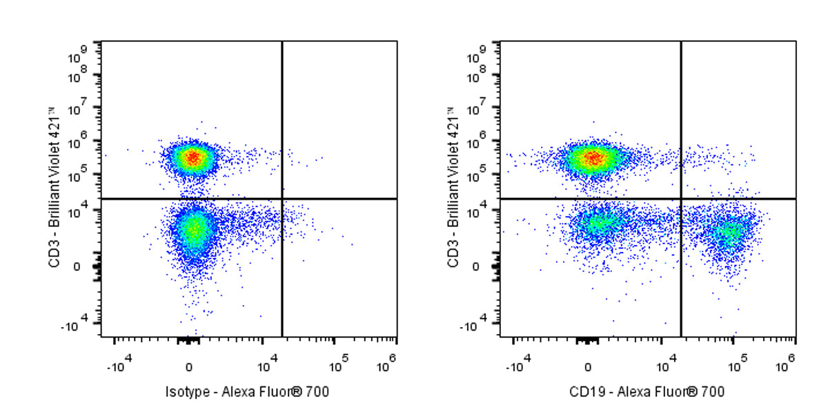 Alexa Fluor® 700 Mouse Anti-Human CD19 Antibody (HIB19)