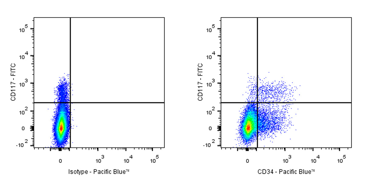Pacific Blue Rat Anti-Mouse CD34 Antibody (RAM34)