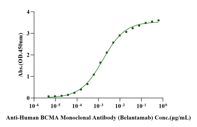 Biotinylated BCMA/TNFRSF17 His&Avi Tag Protein, Cynomolgus