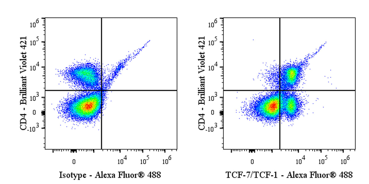 Alexa Fluor® 488 Mouse Anti-Human/Mouse TCF-7/TCF-1 Antibody (S-4484)
