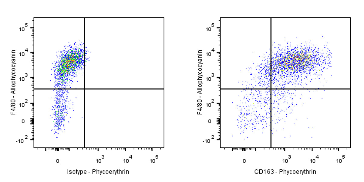 PE Rat Anti-Mouse CD163 Antibody (S-R608)