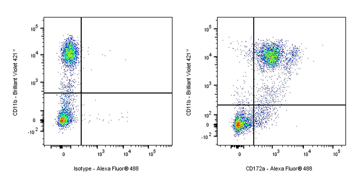 Rat Anti-Mouse CD172a (SIRPα) Antibody (S-R713)