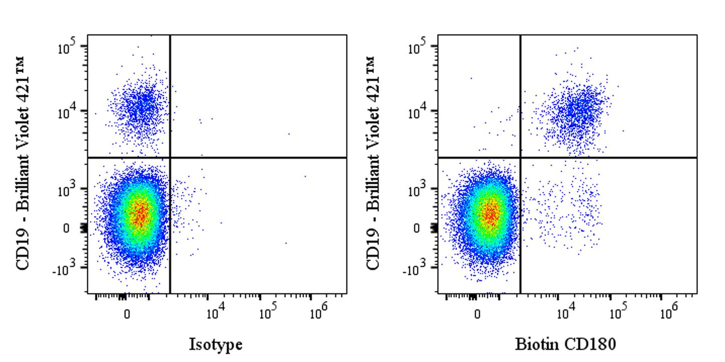 Biotin Mouse Anti-Human CD180 Antibody (G28-8)