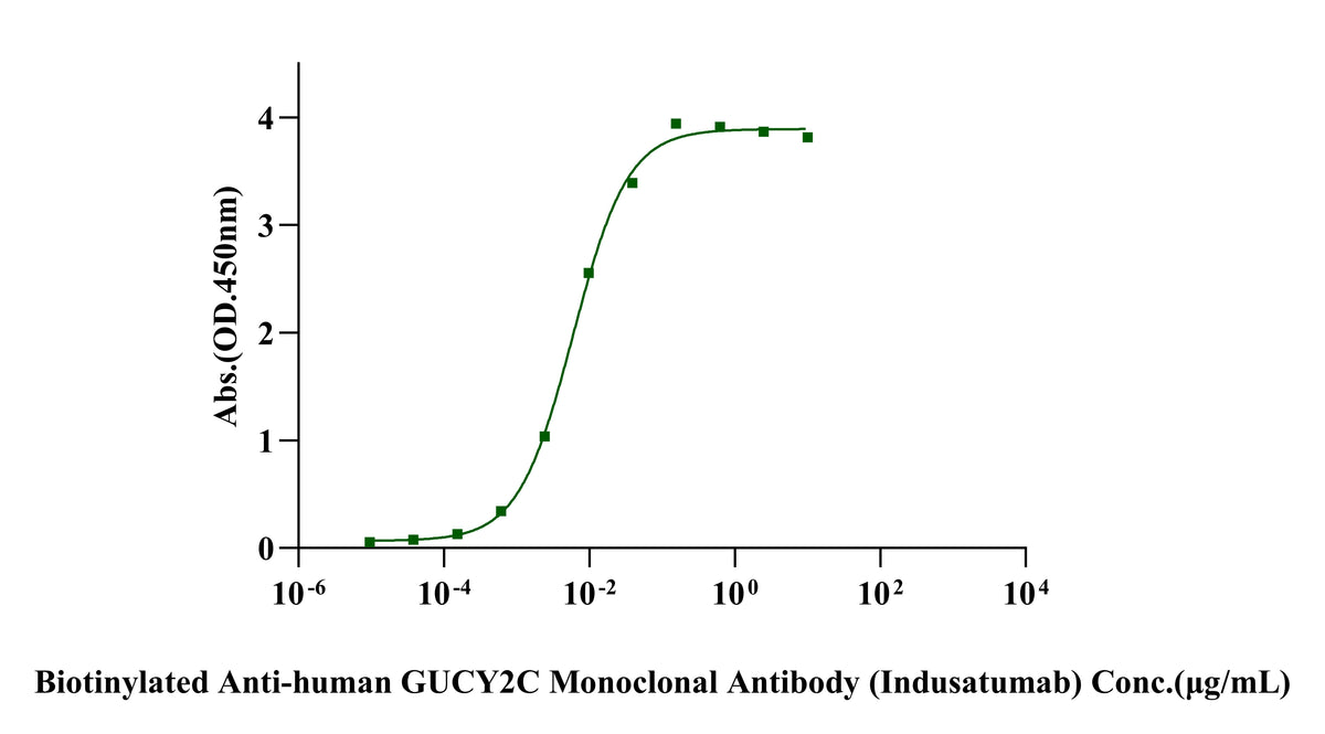 Anti-human GUCY2C Monoclonal Antibody (Indusatumab)