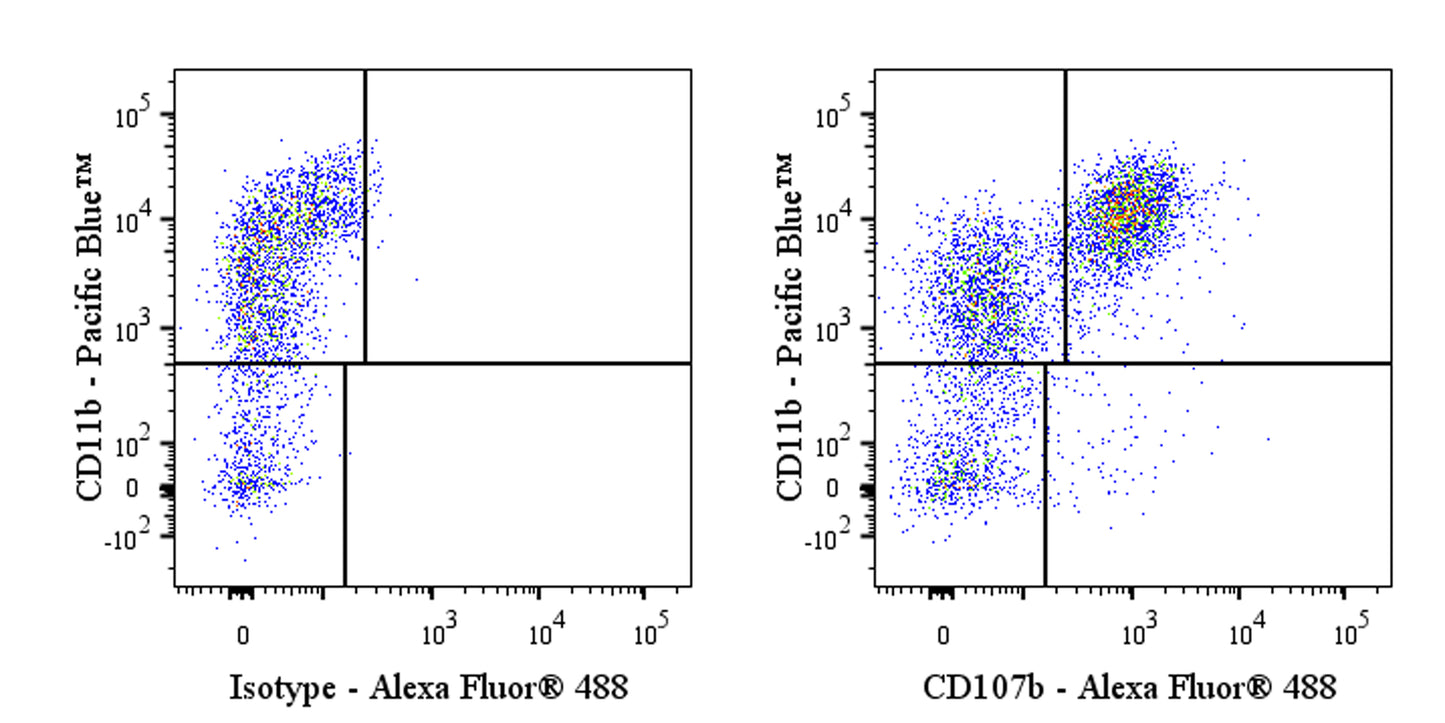Alexa Fluor® 488 Rat Anti-Mouse CD107b (Mac-3) Antibody (M3/84)