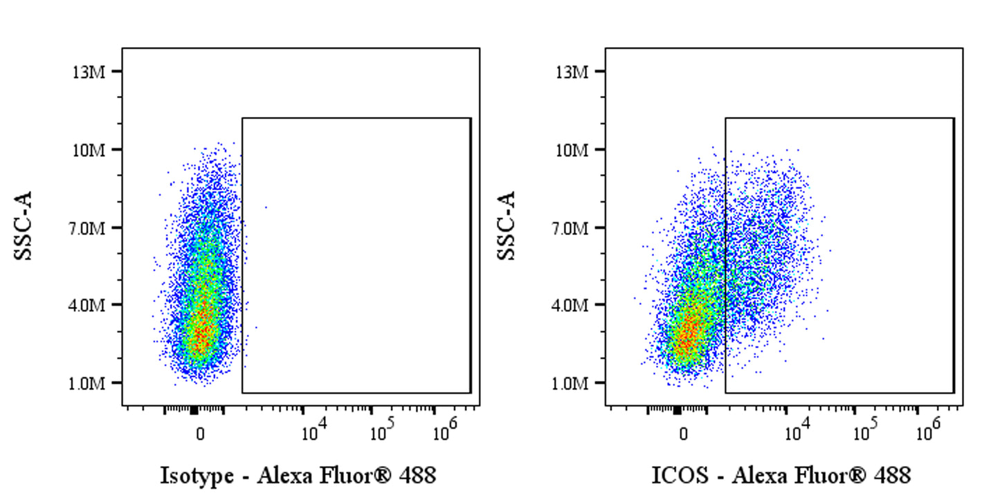 Alexa Fluor® 488 Rat Anti-Mouse ICOS Antibody (7E.17G9)