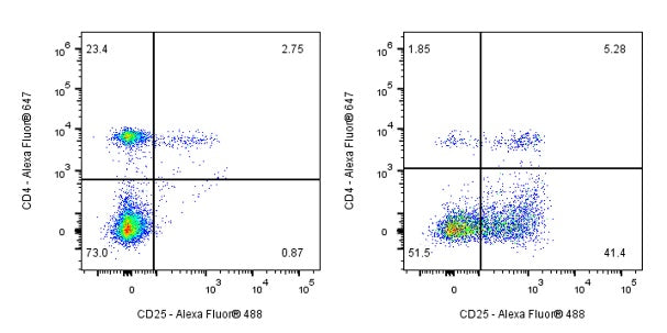 Rat Anti-Mouse CD25 Antibody (S-R441)