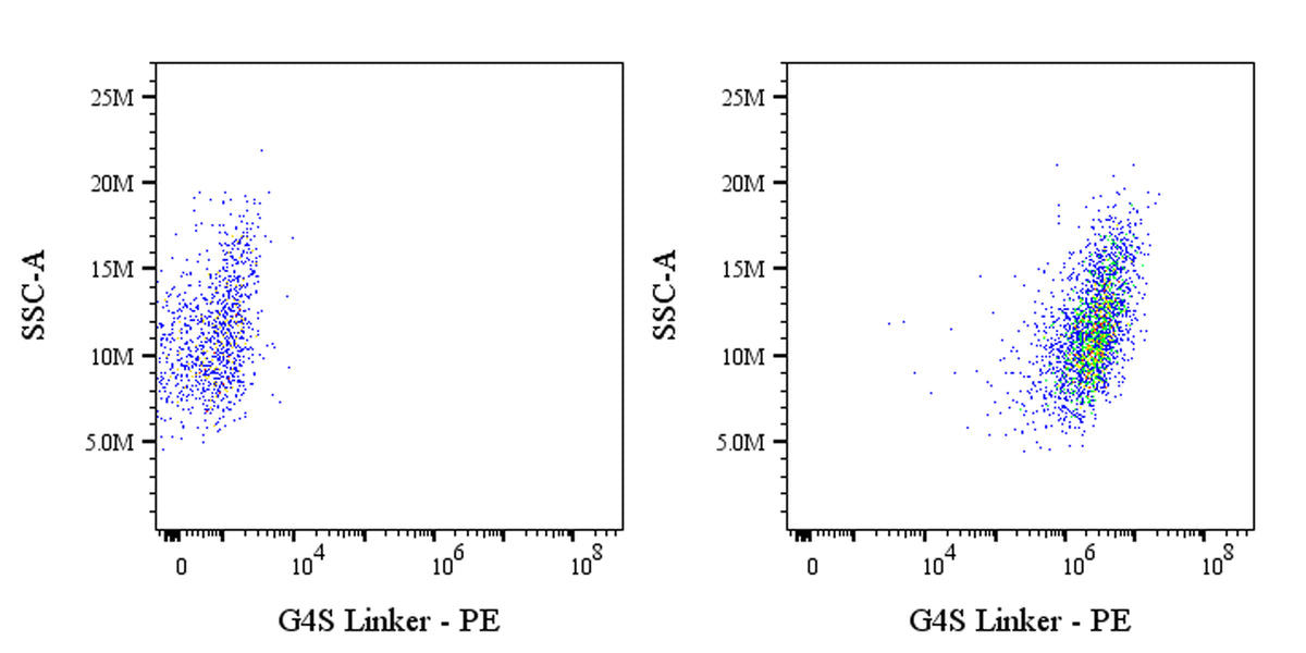 G4S Linker Recombinant Rabbit mAb (PE Conjugate) (S-5030)