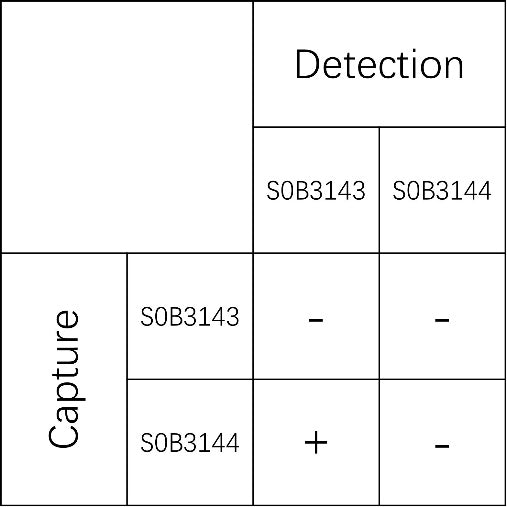 IGFBP4 Recombinant Mouse mAb (SDT-185-H182)