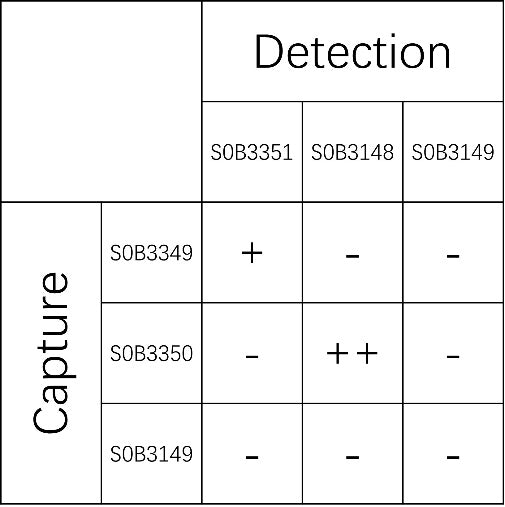 NGAL Recombinant Rabbit mAb (SDT-473-49)