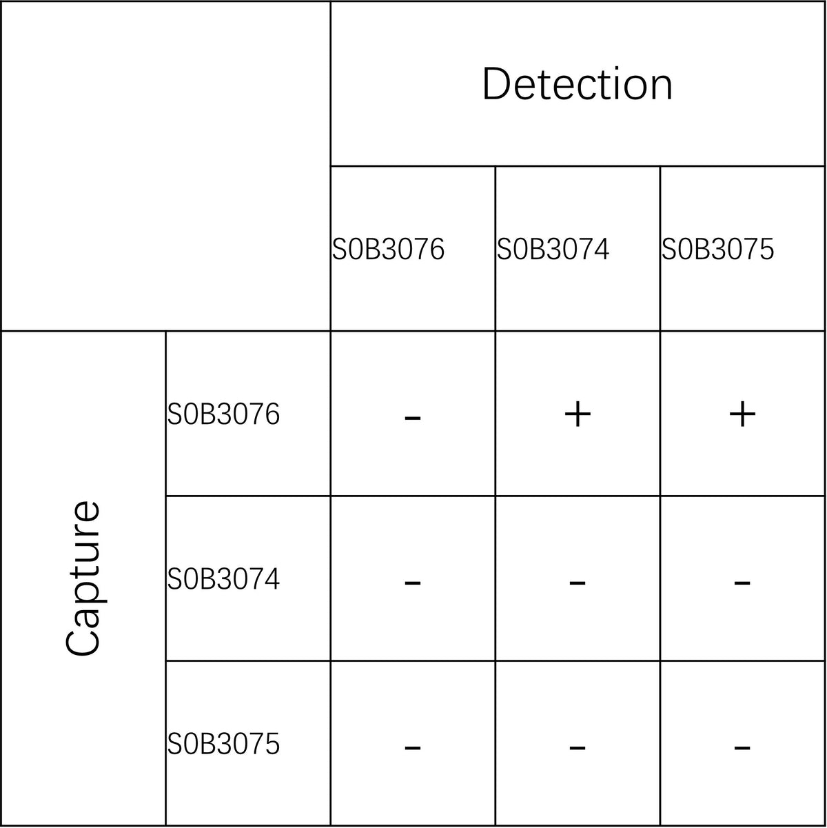 PAI-1 Recombinant Rabbit mAb (SDT-214-43)