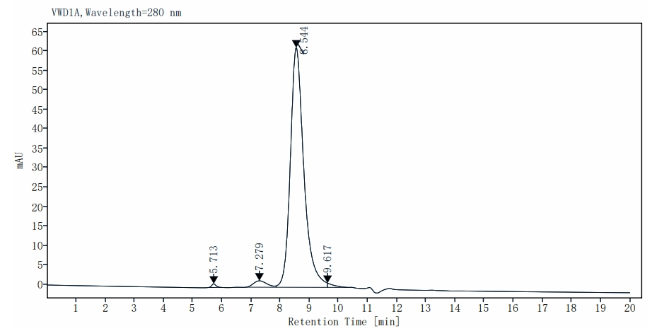 CD81 Fc Chimera Protein, Human