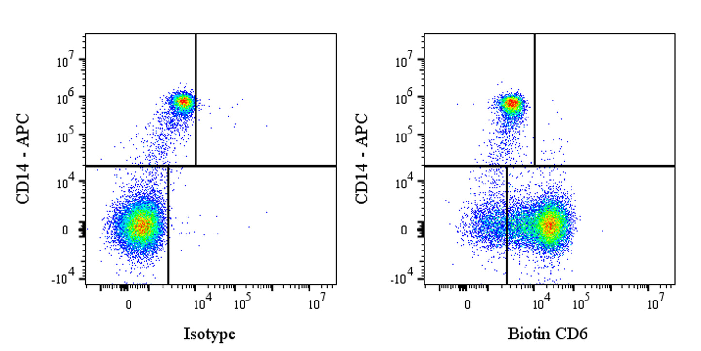 Biotin Mouse Anti-Human CD6 Antibody (S-688-33)