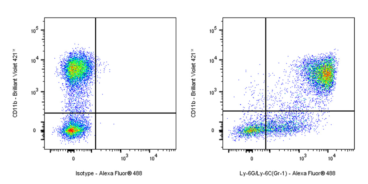 Alexa Fluor®488 Rat Anti-Mouse Ly-6G/Ly-6C (Gr-1) Antibody (RB6-8C5)