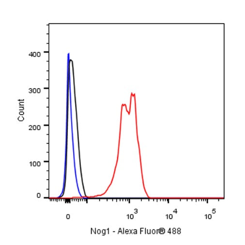 Nog1 Recombinant Rabbit mAb (S-R330)