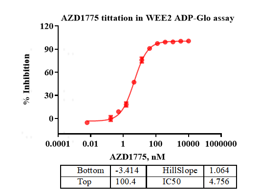 WEE2 Protein
