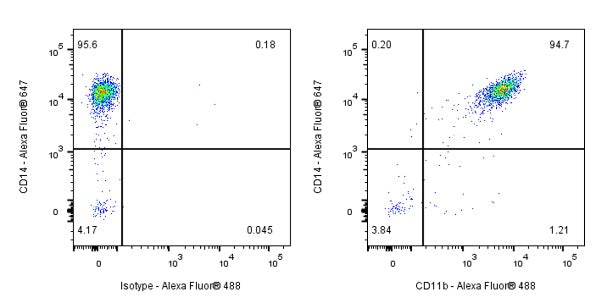Mouse Anti-Human CD11b Antibody