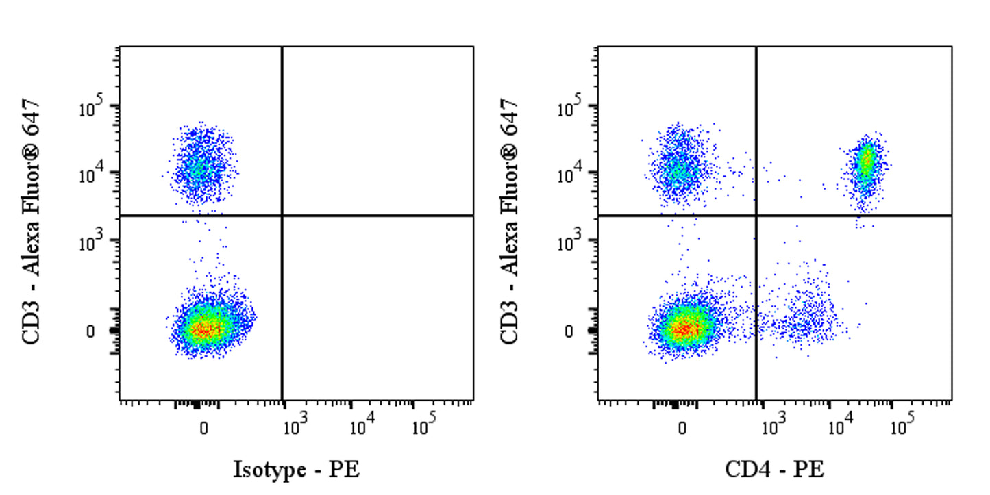 PE Mouse Anti-Human CD4 Antibody (RPA-T4)