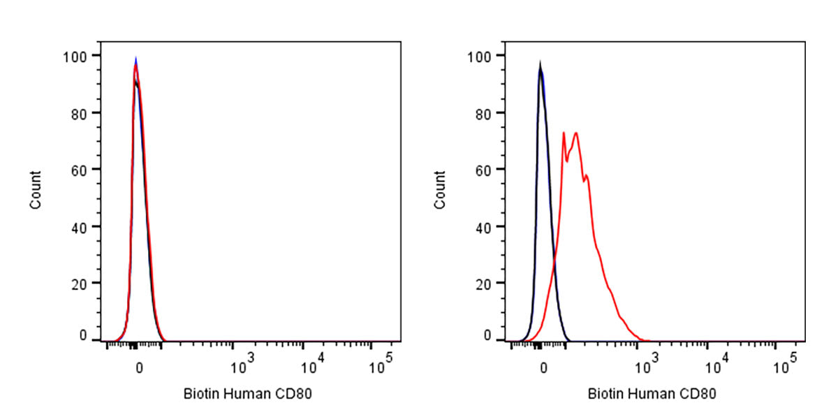 Biotin Mouse Anti-Human CD80 Antibody (S-3119)
