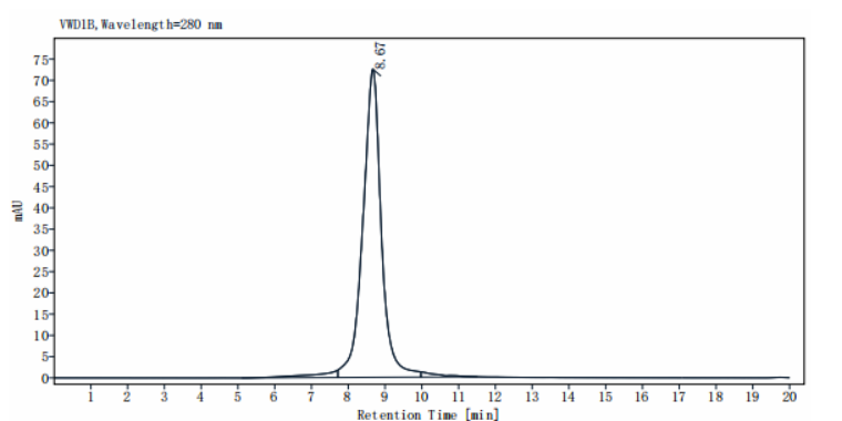 IL-21 R His Tag Protein, Human