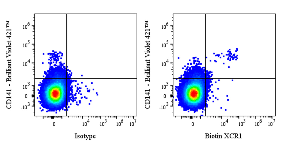 Biotin Rat Anti-Human XCR1 Antibody (S-3294)