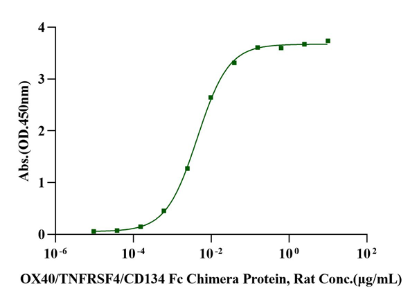 OX40/TNFRSF4/CD134 Fc Chimera Protein, Rat