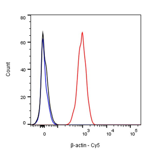 β-actin Recombinant Rabbit mAb (Cy5 Conjugate) (SDT-R156)
