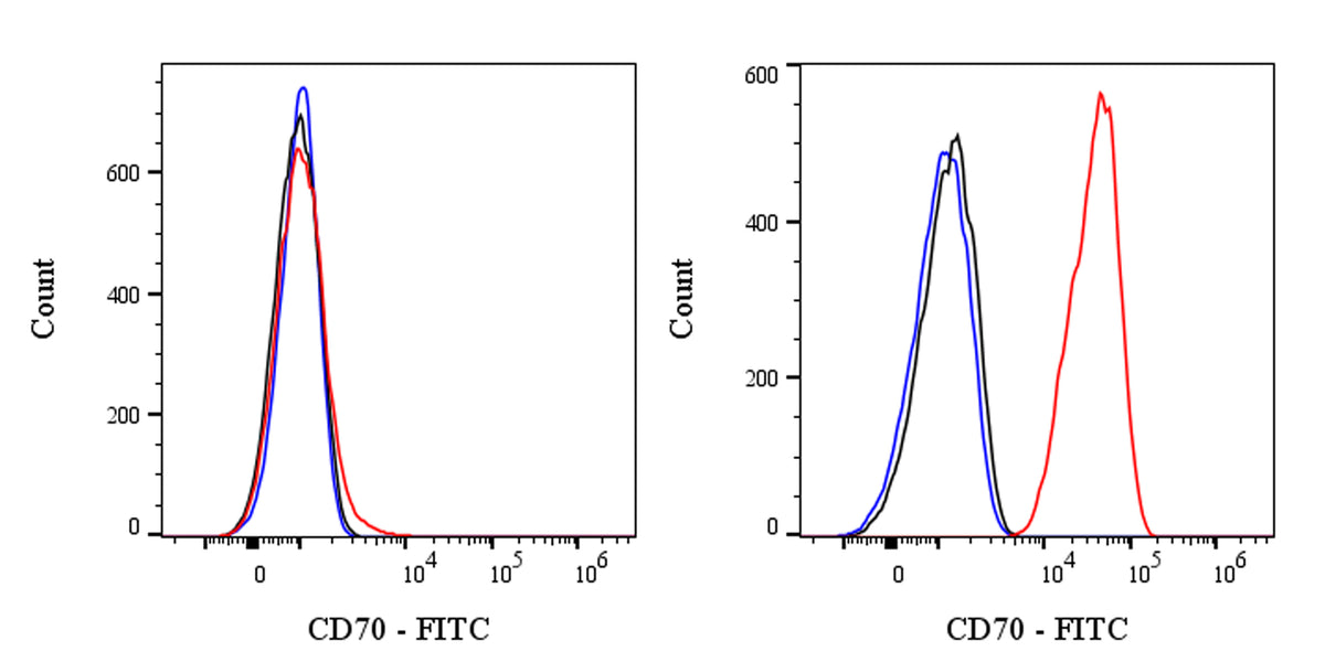 FITC Mouse Anti-Human CD70 Antibody (Ki-24)