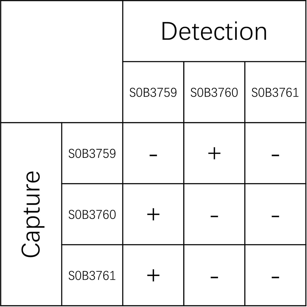 Toxoplasma gondii SAG1 Recombinant Rabbit mAb (SDT-3229-37)