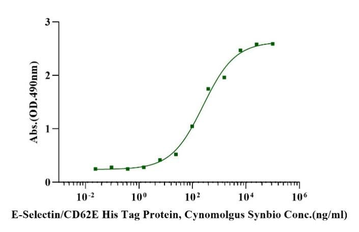E-Selectin/CD62E His Tag Protein, Cynomolgus