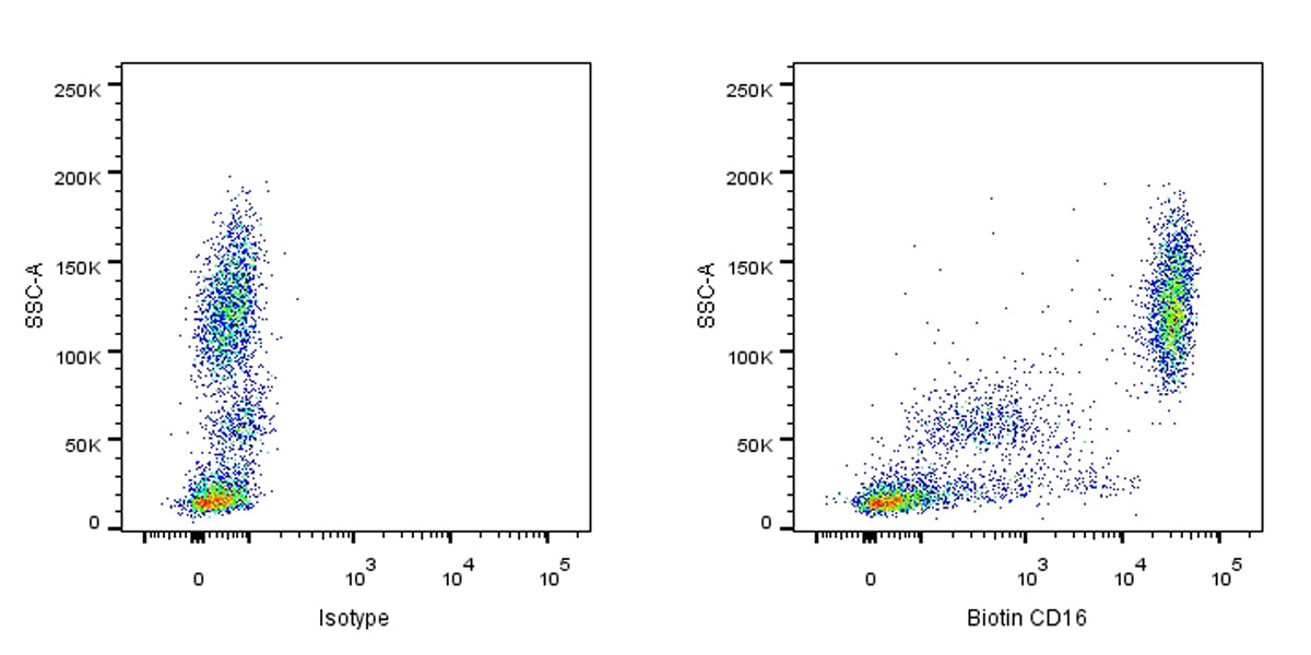 Biotin Mouse Anti-Human CD16 Antibody (3G8)