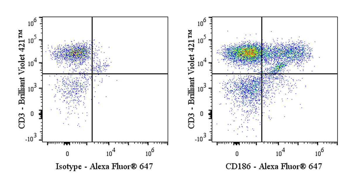 Mouse Anti-Human CD186 (CXCR6) Antibody (S-2852)