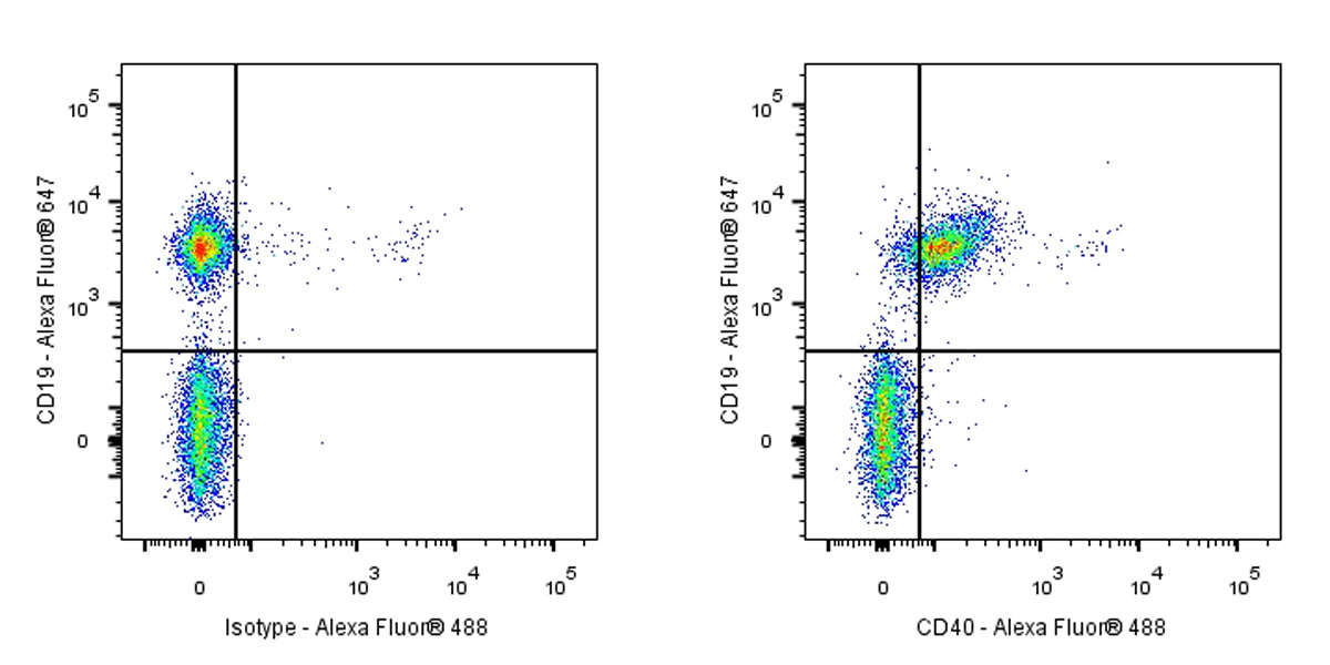 Invivo Anti-Mouse CD40 Recombinant mAb