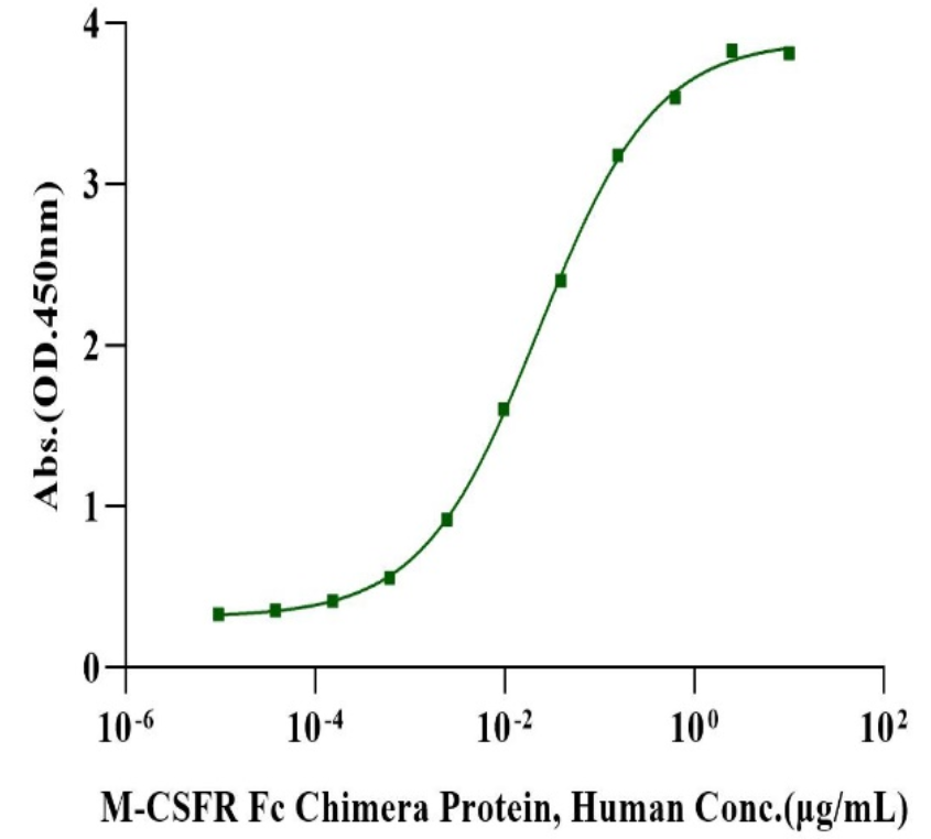 M-CSF Protein, Human