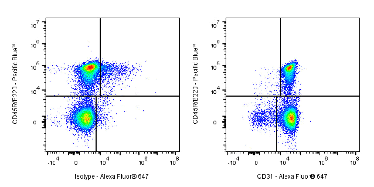 Alexa Fluor® 647 Rat Anti-Mouse CD31 Antibody (MEC13.3)