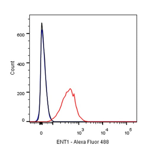 ENT1 Recombinant Rabbit mAb (SDT-R182)