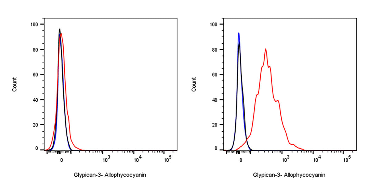 APC Rabbit Anti-Human Glypican-3 Antibody (SDT-R032)
