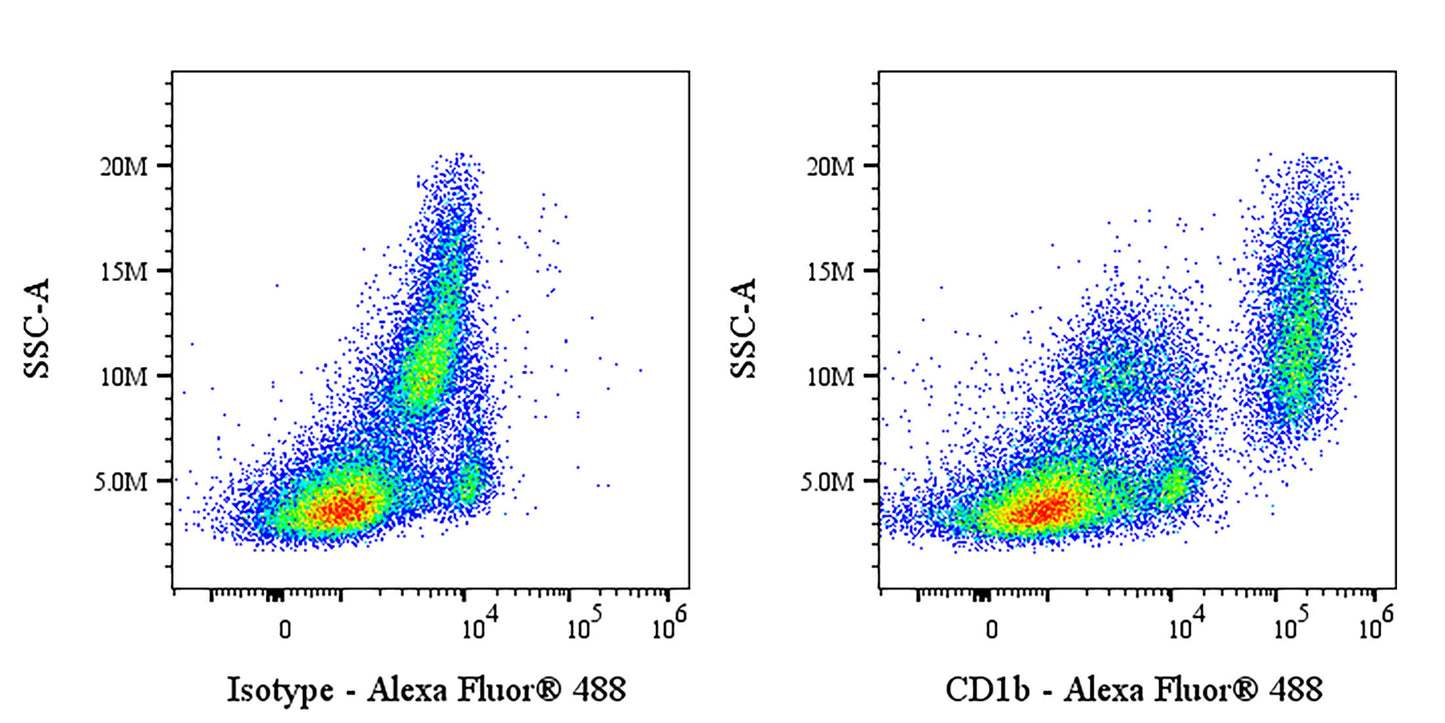 Mouse Anti-Human CD1b Antibody (SN13)