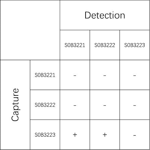 Hemoglobin Recombinant Rabbit mAb (SDT-193-39)