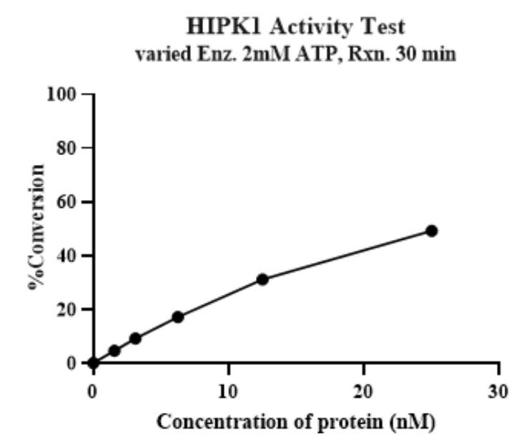 HIPK1 Protein, Human