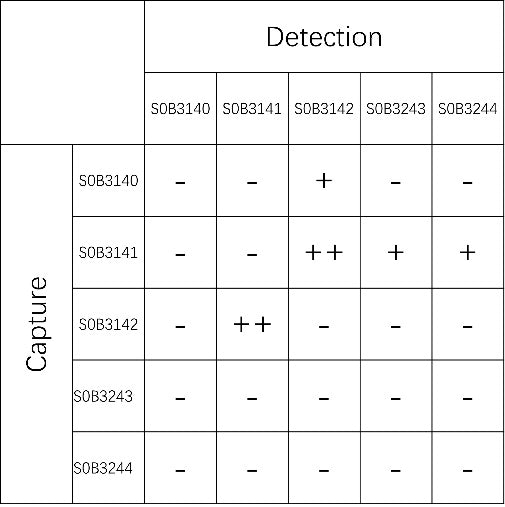 sFlt-1 Mouse mAb (SDT-304-7)