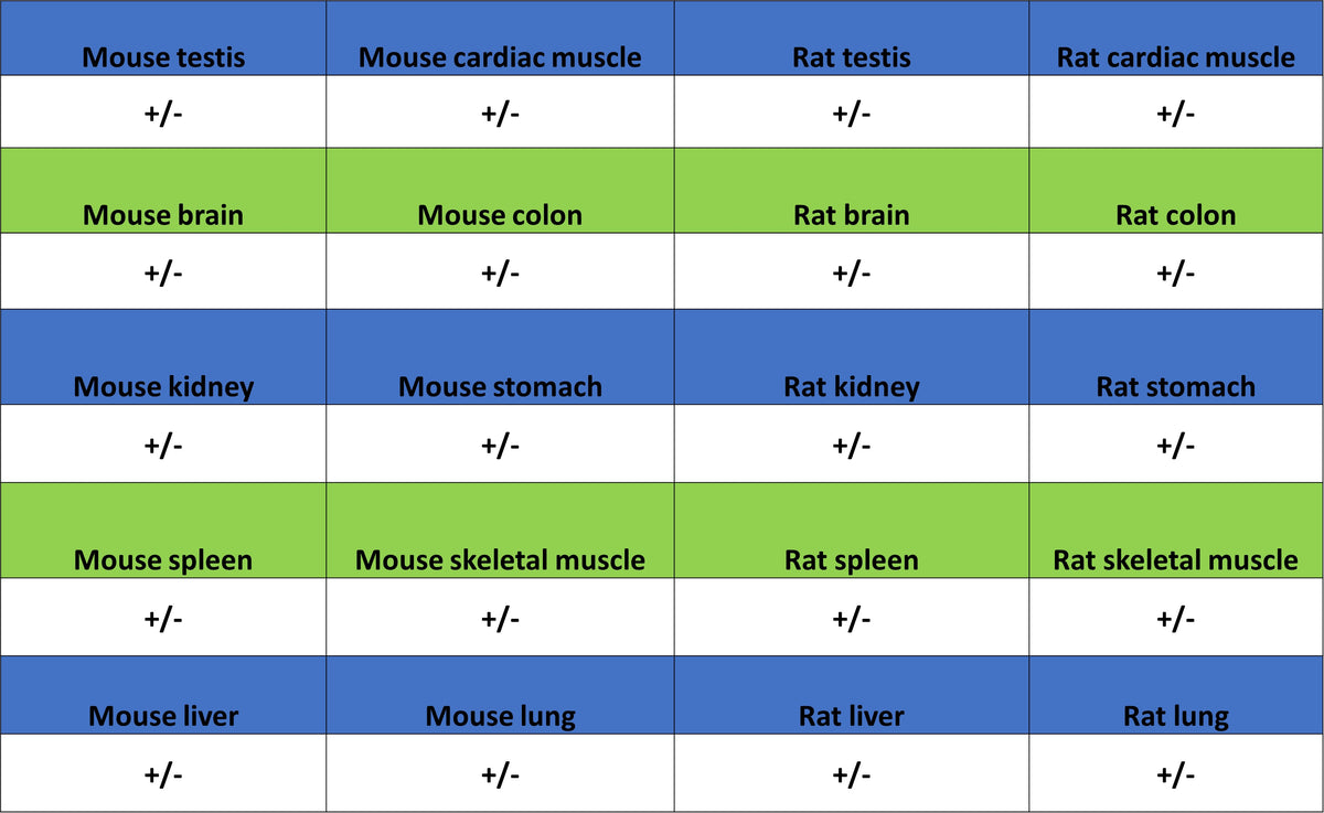 TRIM21 Mouse mAb (S-M0045)