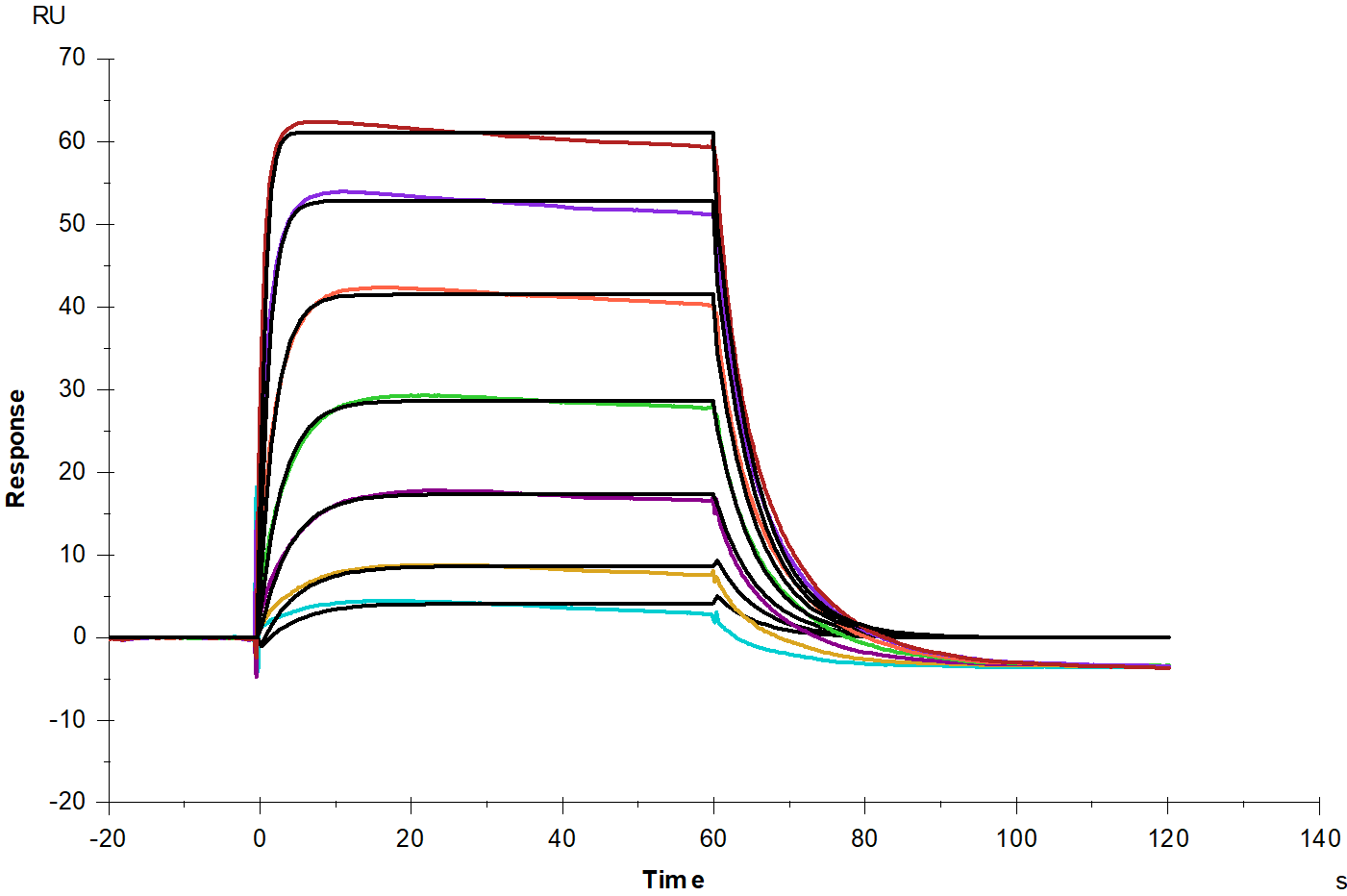 IL-3 Rα/CD123 Fc Chimera Protein, Human
