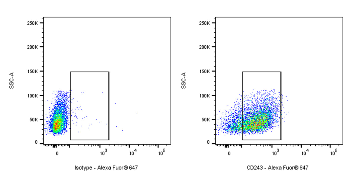 Alexa Fluor® 647 Mouse Anti-Human CD243 Antibody (S-2907)